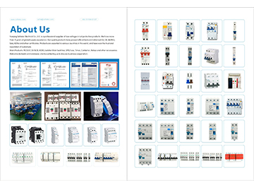 Sofielec specialized in supplying low voltage terminal circuit protection products: MCB,RCD,RCBO,Isolator main switches, SPD,contactor,timer,relay,fuses.